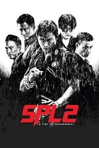 Kill Zone 2 (2015) Hindi Dubbed [ORG] 480p | 720p